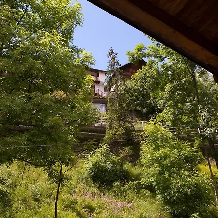 Lou Loop 3* 비나디오