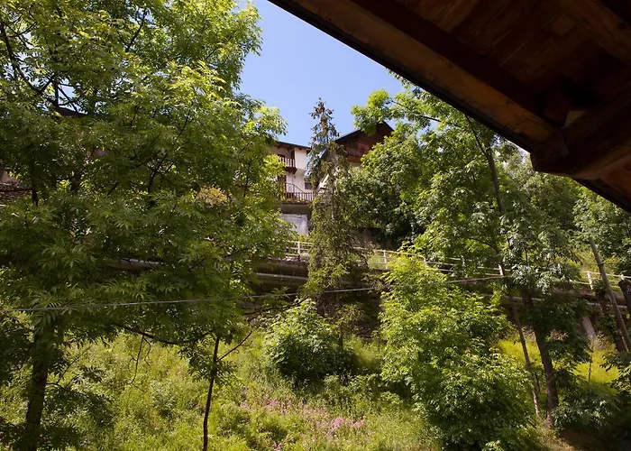 Lou Loop 3* 비나디오